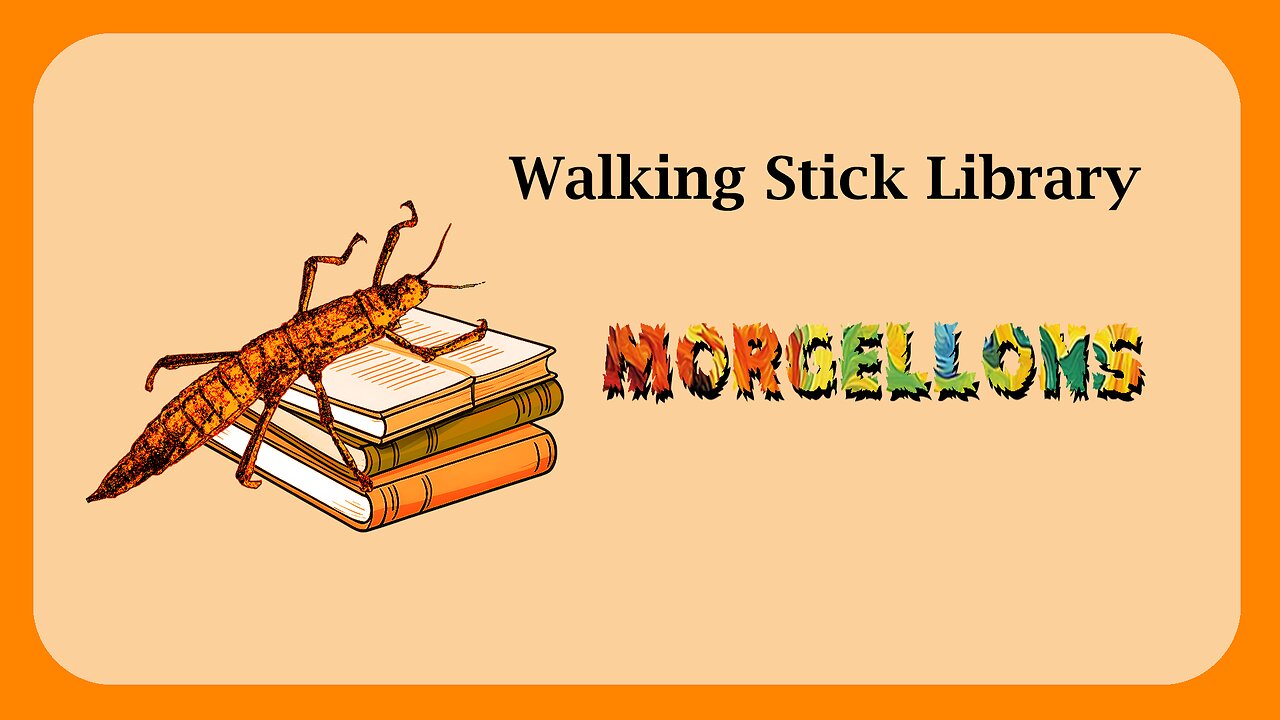 Morgellons