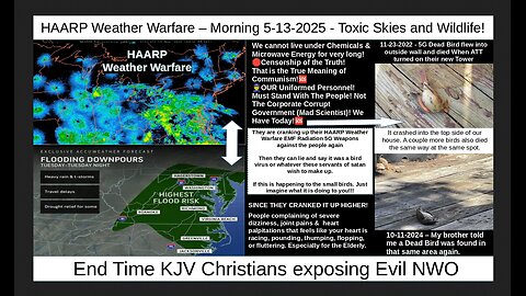 HAARP Weather Warfare – Morning 5-13-2025 - Toxic Skies and Wildlife!