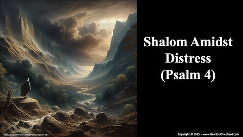Shalom Amidst Distress (Psalm 4), a daily Bible study from www.HeartofAShepherd.com.