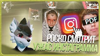 🐺 Роско смотрит заратустра - Странные и Трешовые Аккаунты в Инстаграм