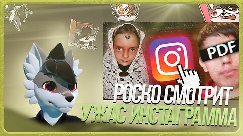🐺 Роско смотрит заратустра - Странные и Трешовые Аккаунты в Инстаграм