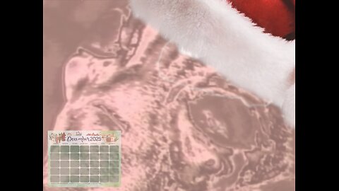 XCOM Nov.. December (finale?)