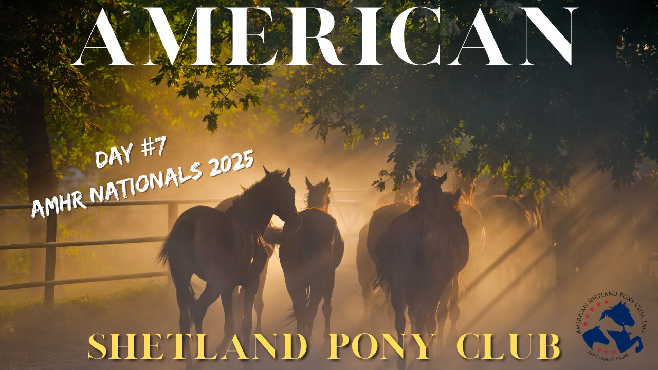 AMHR Nationals 2025 (Day #7)Ford Arena 9/10/2025