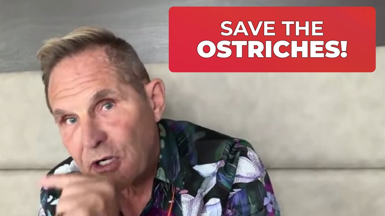SAVE THE OSTRICHES FROM THE CANADIAN FEDERAL GOVERNMENT