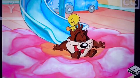 Baby Looney Tunes Intro