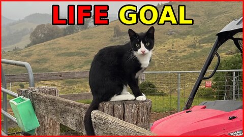 DIGIMON EDITION - LIFE GOAL ACHIEVED, GHISLAINE MAXWELL, INCARCERATION, DIGITAL ID, SNEED OIL, WW3