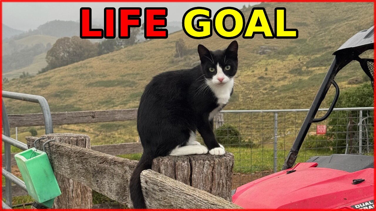DIGIMON EDITION - LIFE GOAL ACHIEVED, GHISLAINE MAXWELL, INCARCERATION, DIGITAL ID, SNEED OIL, WW3