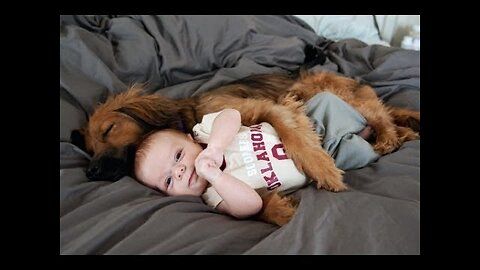 Cutest Baby + Animal Friendships Ever 👶❤️