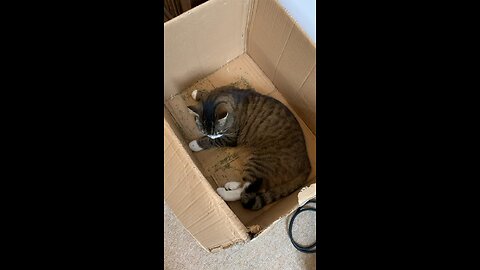 Think billy had too much nip