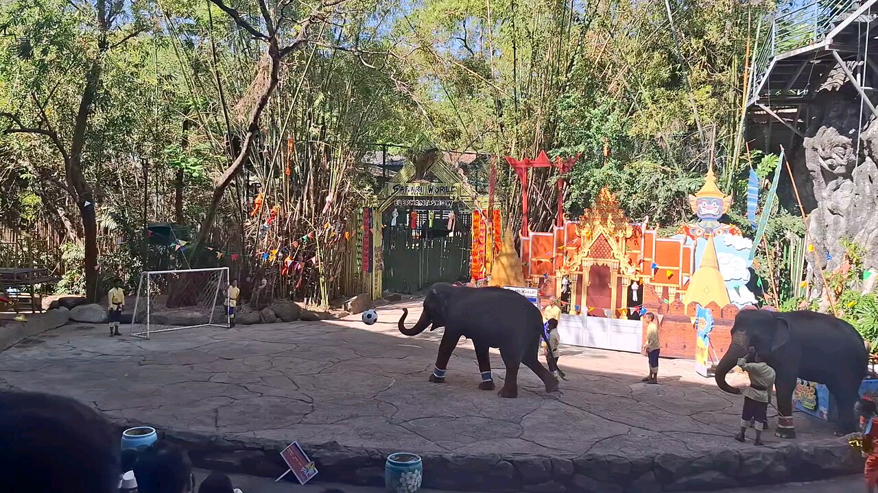 The Elephant Show at Safari World Bangkok