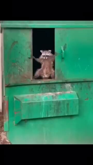 Don't Miss This! 😱🔥 | Rahul Singh Shorts