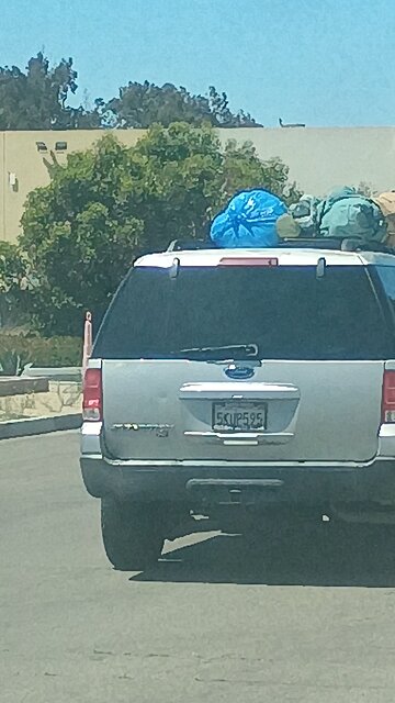 dracs assaulting humans