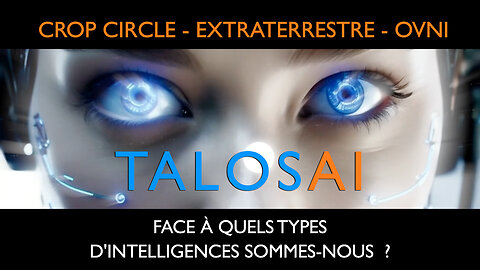 Face à quels types d’intelligences sommes-nous ? | Crop Circle – OVNI – UAP – UFO