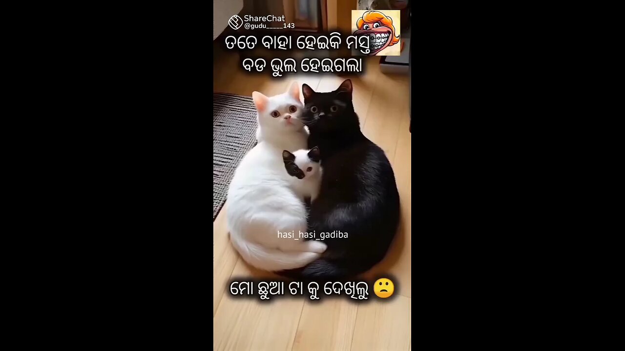 Black and white Couple