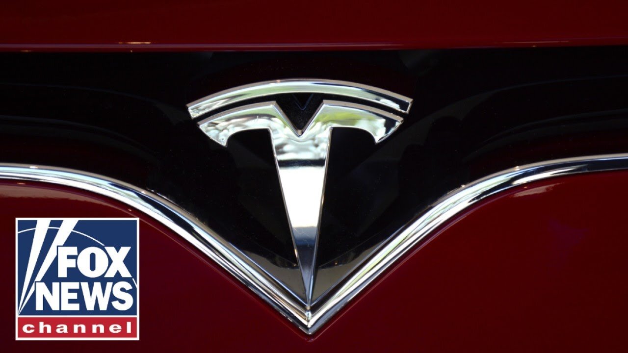 Telsa attacks show the left's insanity knows no bounds, critics charge