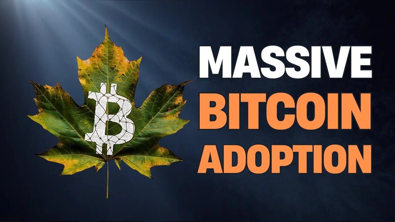 Why every business will eventually accept Bitcoin