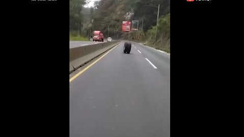 Loose double wheel rolling down a long winding road