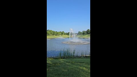 My Peaceful Place - An Interesting Encounter