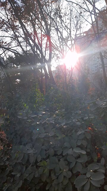 20251214. God made the world.