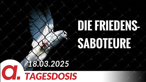 Die Friedens-Saboteure | Von Bodo Schickentanz