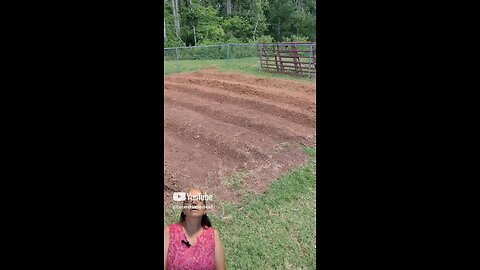 Drip Line Tip from Organic Gardening, Homesteading, and Woodworking