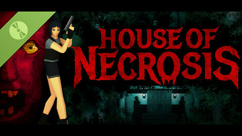Playing House of Necrosis demo. Resident evil meets mystery dungeon.
