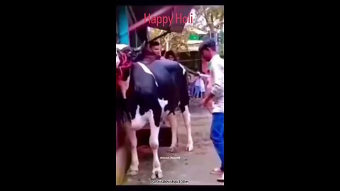 happy holi 🤣