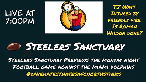 Steelers Sanctuary Miami Dolphins Preview