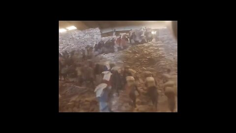 US Ends Aid to Somalia after Warehouse w/ 76 tons of US-Donated Food is Looted