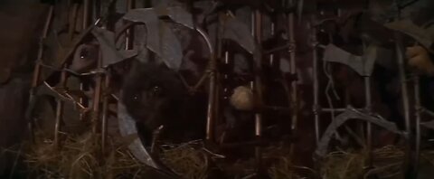 👺 The Dark Crystal, a 1982 film by Jim Henson & Frank Oz........