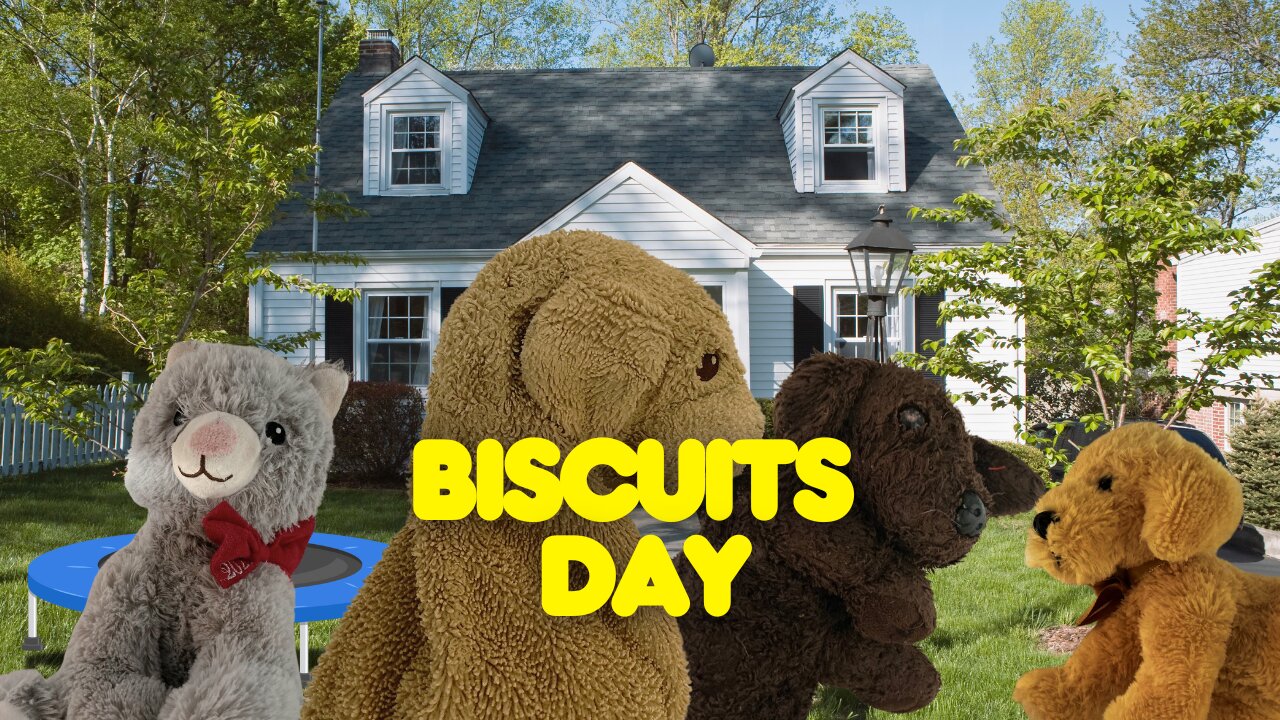 Biscuits day