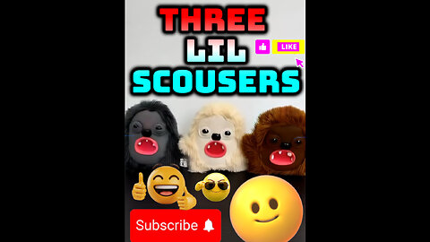THREE LIL SCOUSERS