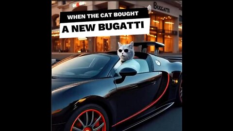 When Your Cat Drinks Coffee and Buys a Bugatti 😹☕🚗