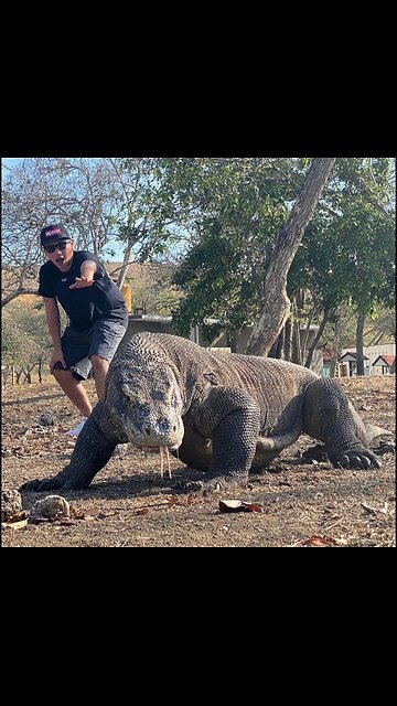 Johnny "Komodo" Johnson