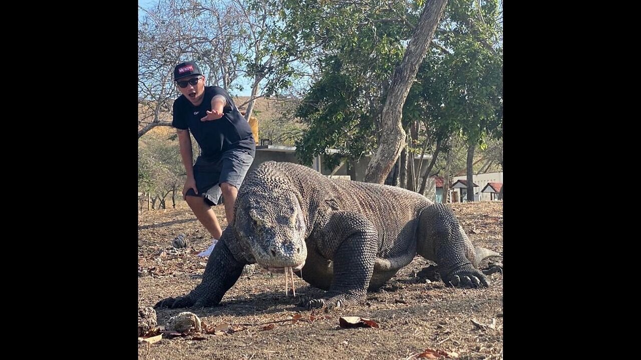 Johnny "Komodo" Johnson