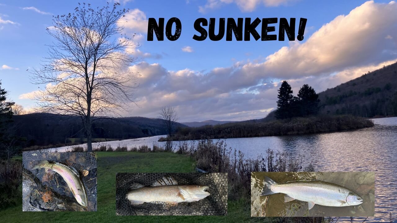 Steelhead, Trout, Sauger (No Sunken!)