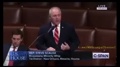 SteveScalise toldCongress that AdamSchiff possessed over 3500pagesof illegallyobtained phone records