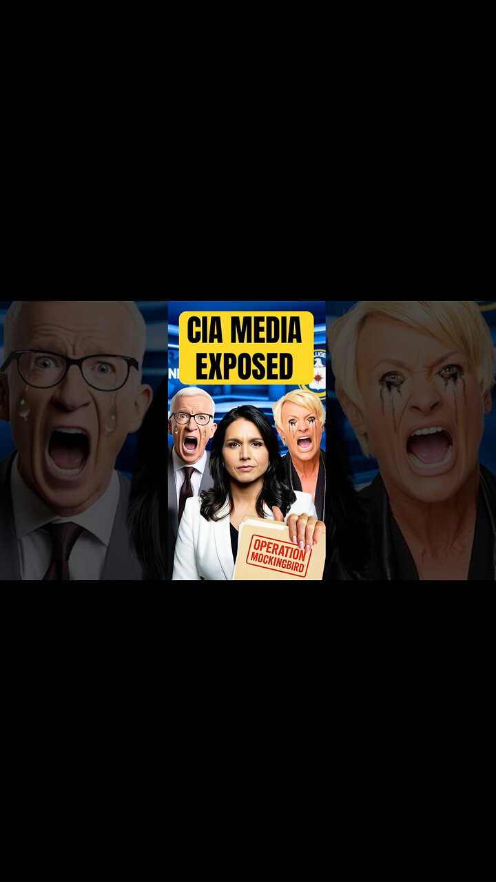 Tulsi Gabbard Exposes CIA Psyop…