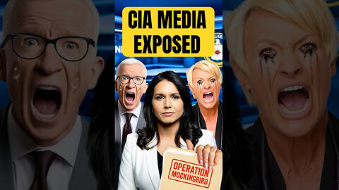 Tulsi Gabbard Exposes CIA Psyop…