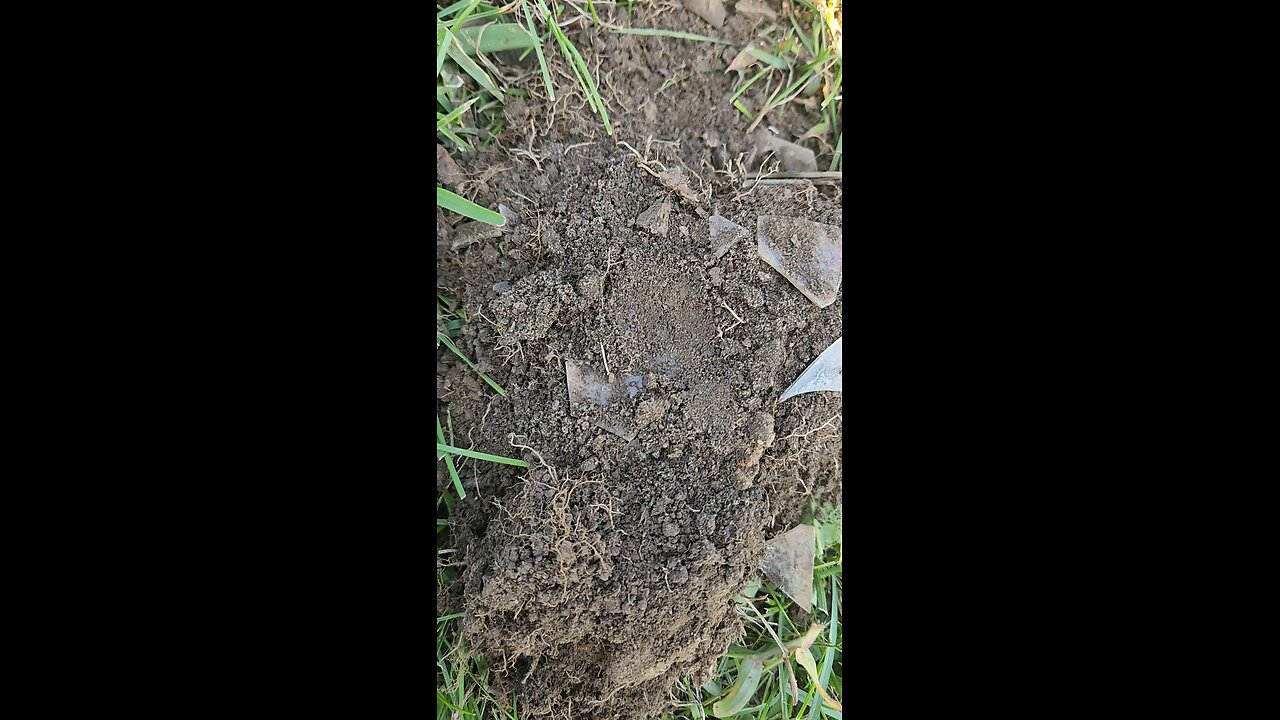 buried treasure box