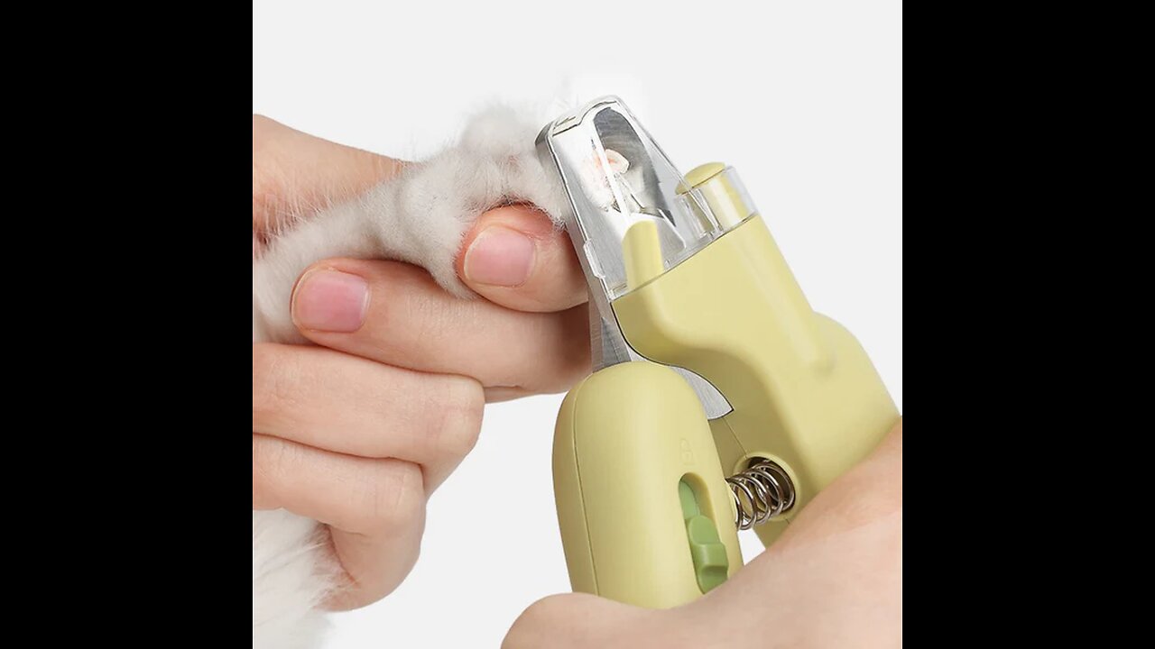Pet Anti-Bleeding Nail Clippers For Beginners