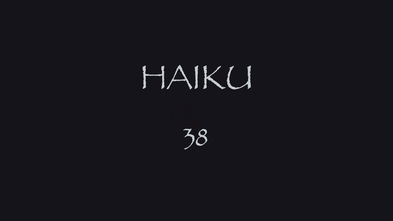 HAIKU 38