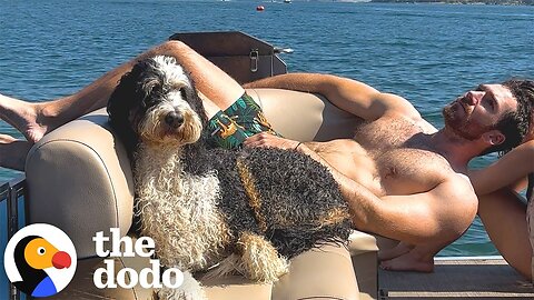 Dog Insists Her Dads Bring Her Everywhere They Go | The Dodo