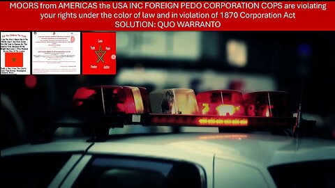 Why are the United States Inc Cops out of Control? Justice Anna gives her affidavits and thoughts