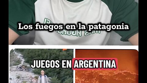Los fuegos en la patagonia