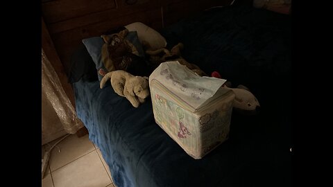 Unboxing ABUniverse Tiny Tails ABDL Diapers