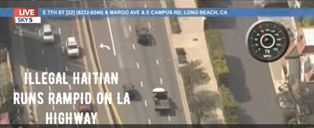 IFB: ILLEGAL HAITIAN RAMPAGE ON LA HIGHWAY