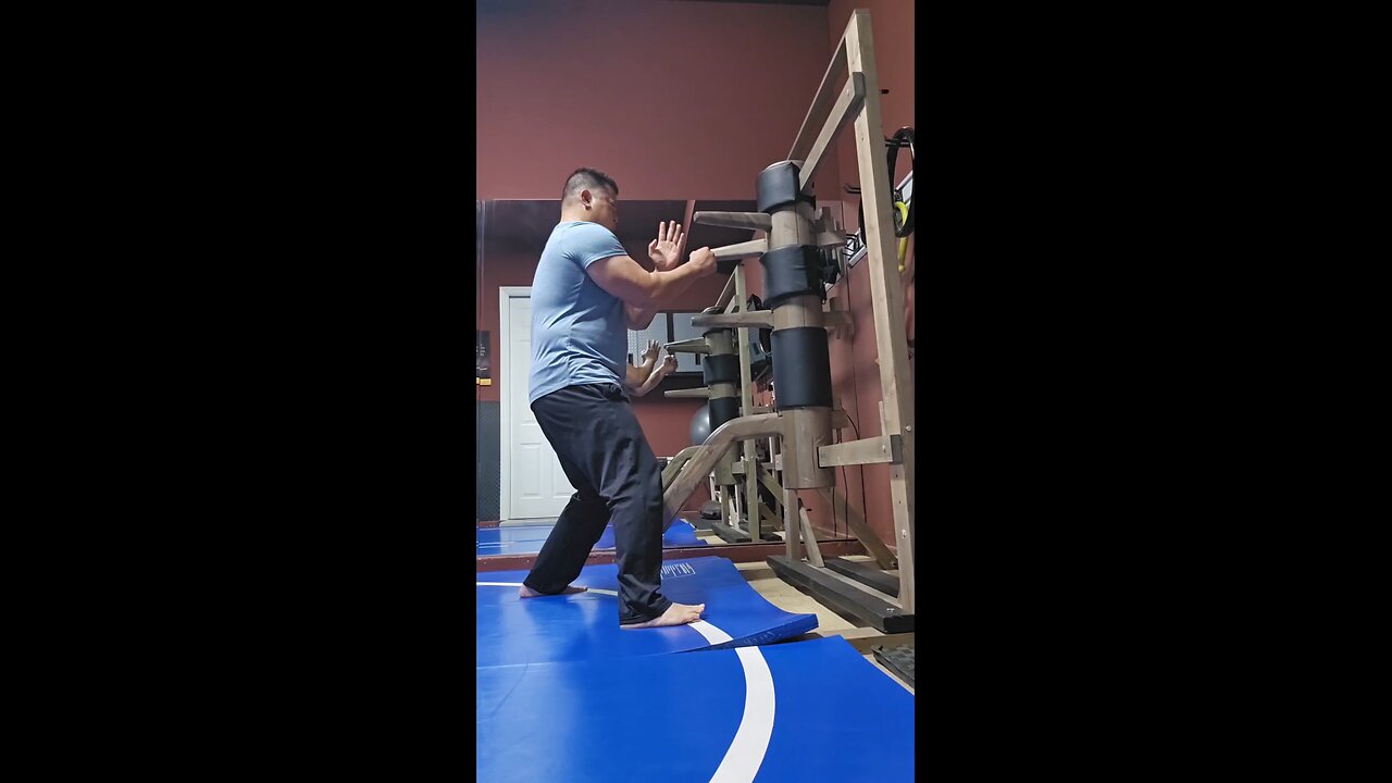 WTD Wooden Dummy Combination 18