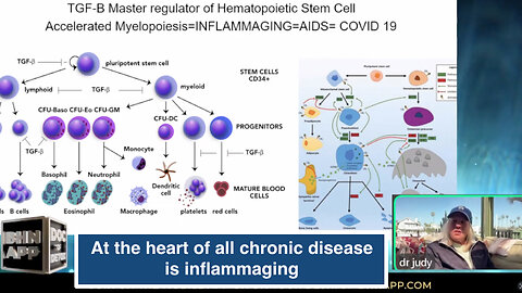 At the heart of all chronic disease is inflammaging