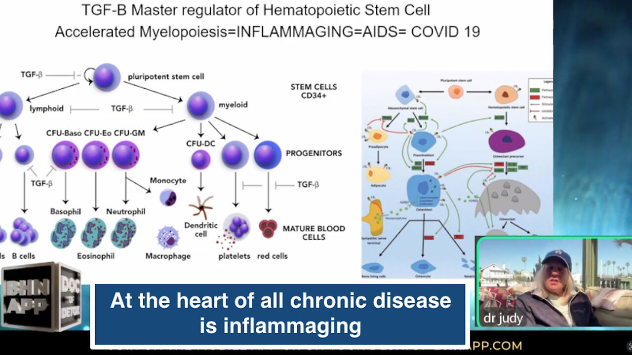 At the heart of all chronic disease is inflammaging